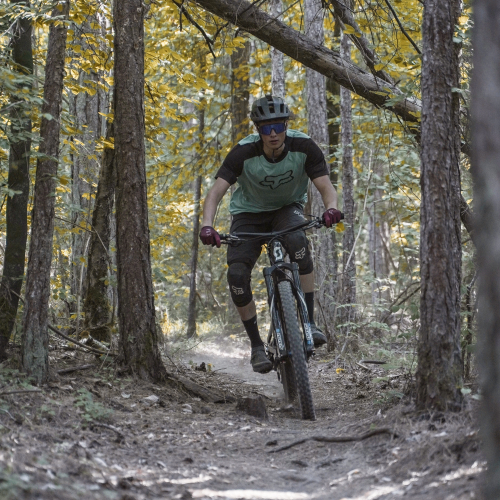 Photo d'une descente en VTT dans les bois